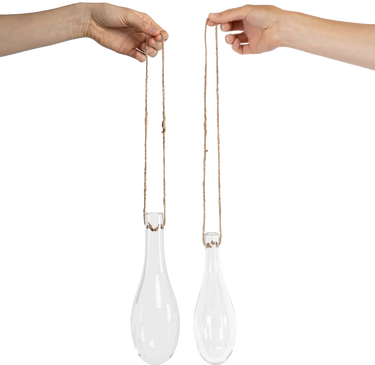 Glass Propagation Tube Duo | S & M